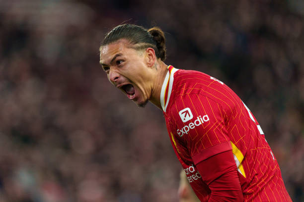 不可否认的 不可否认的