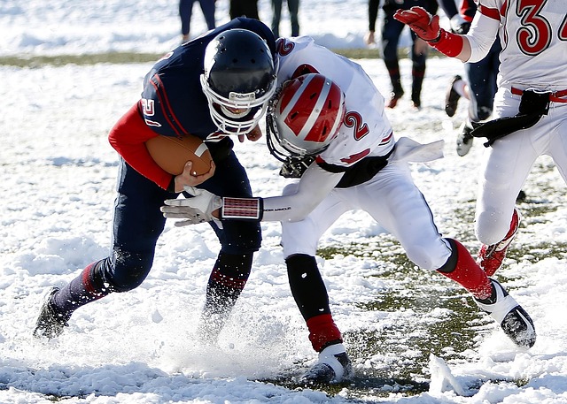 年轻的心 年轻的心