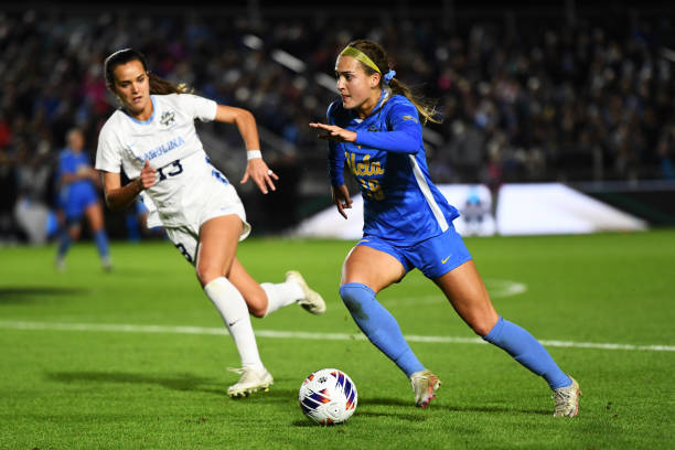 不仅形成了 不仅形成了